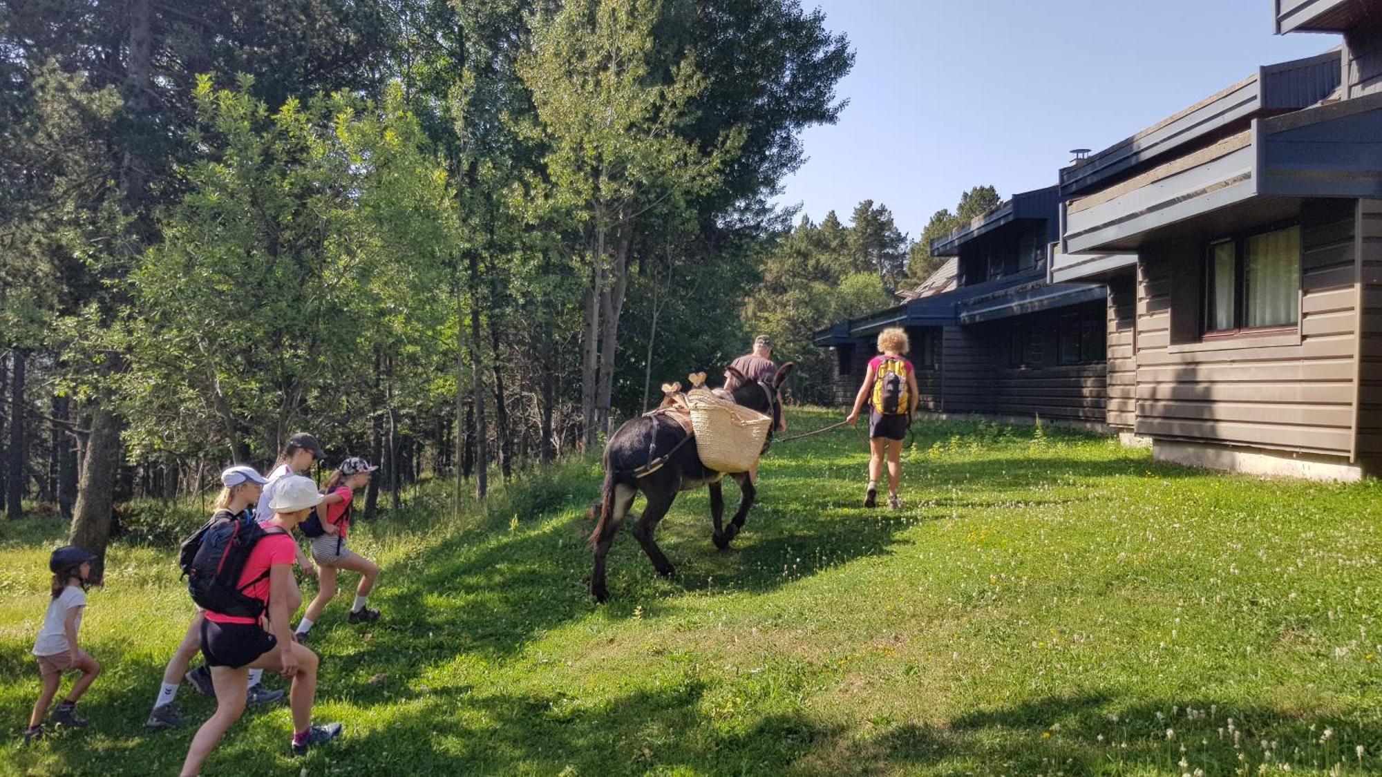 Le Chalet Du Ticou Bolquère Zewnętrze zdjęcie